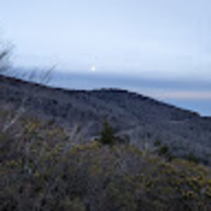 Meet your Posher, Bailey